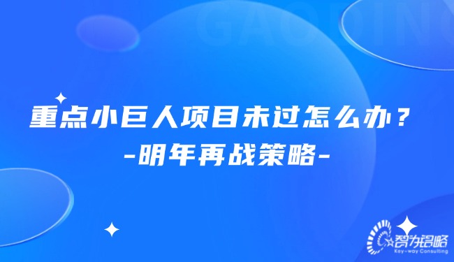 重點小巨人項目未過怎么辦？明年再戰策略.jpg